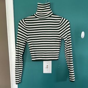 Zara Green and Cream Stripped Turtleneck